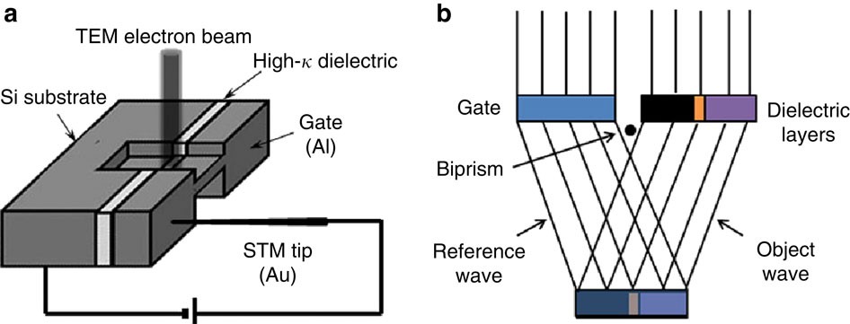 In situ electron holography study of charge distribution in high-κ  charge-trapping memory | Nature Communications