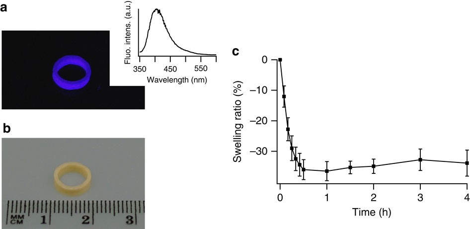 Figure 2: Hydrogels made of the (FL)8 polyprotein show unusual physical properties.