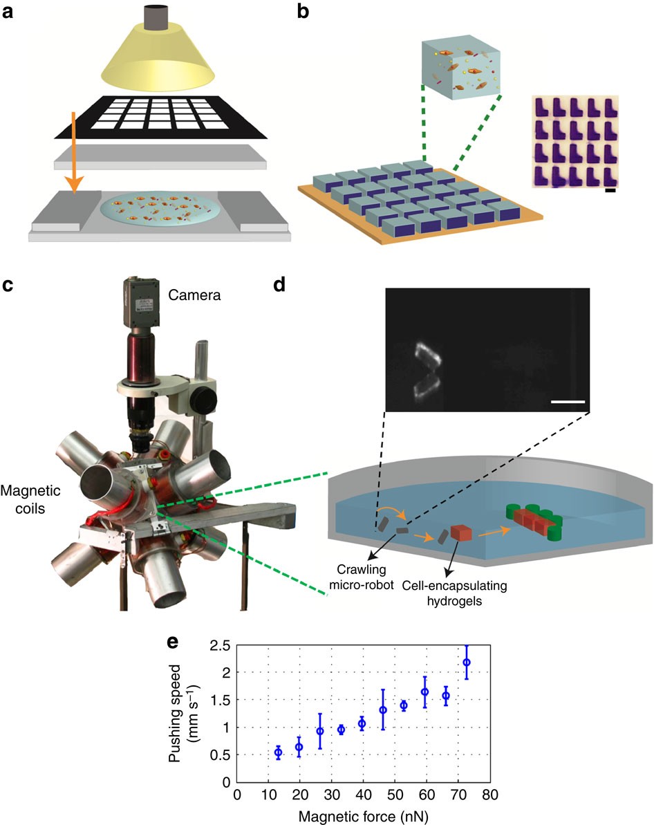 Untethered micro-robotic coding of three-dimensional material composition |  Nature Communications