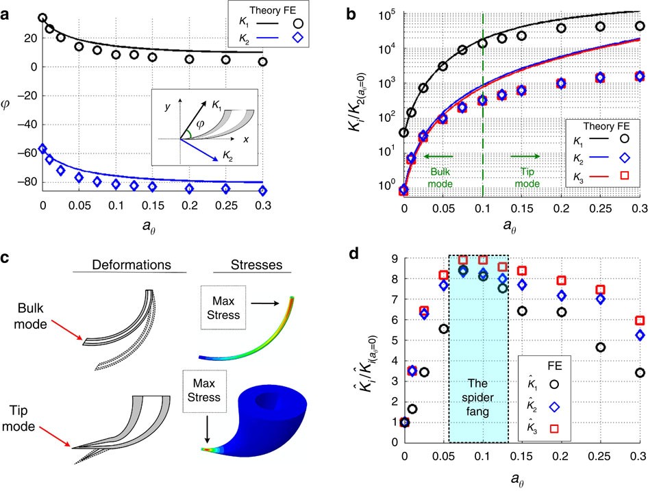 Figure 2: Effects of varying the structural gradient of the fang model on the stiffness parameters.