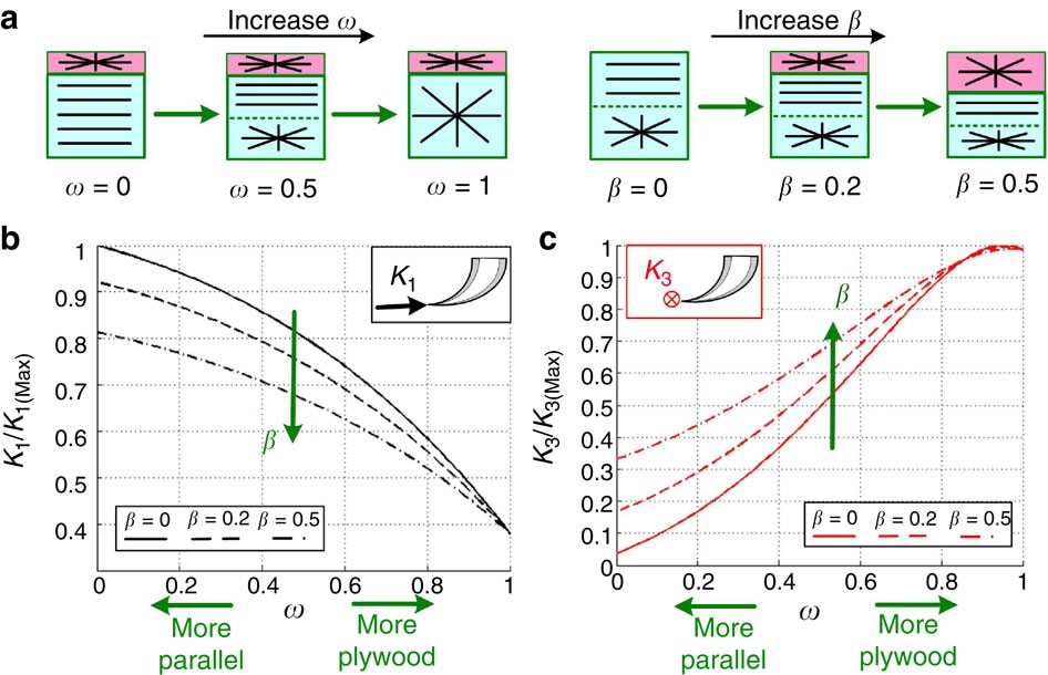 Figure 6: Effect of the layered composite architecture (level III) on the fang’s macroscopic stiffness (level IV).