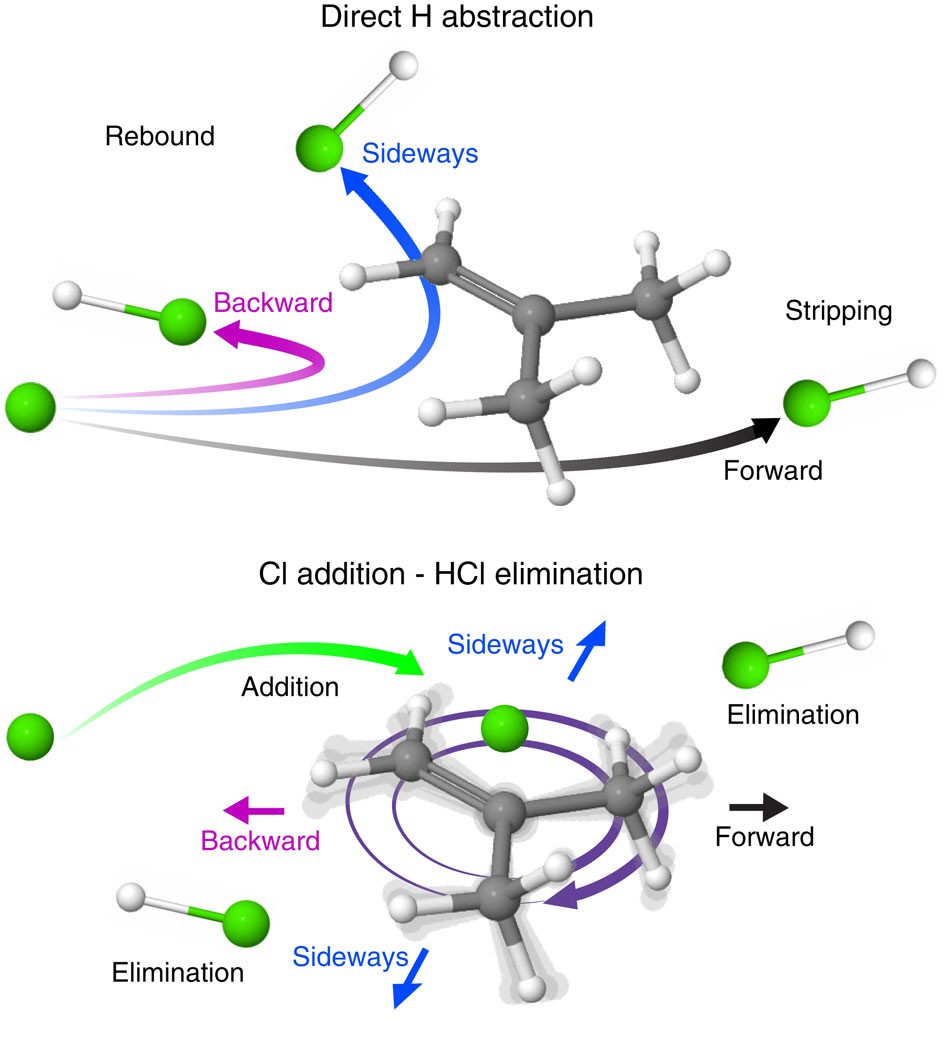 Roaming dynamics in radical addition–elimination reactions ...
