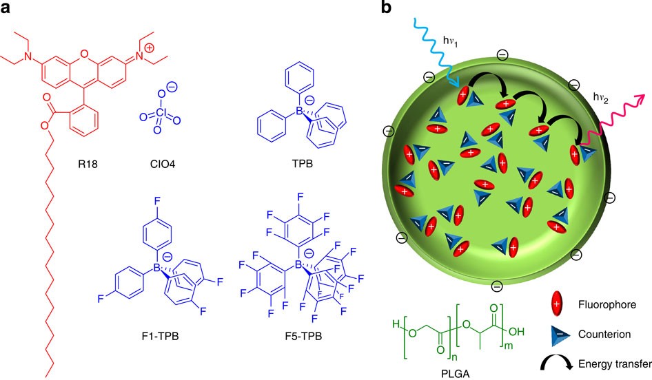 Collective Fluorescence Switching Of Counterion Assembled Dyes In Polymer Nanoparticles Nature Communications