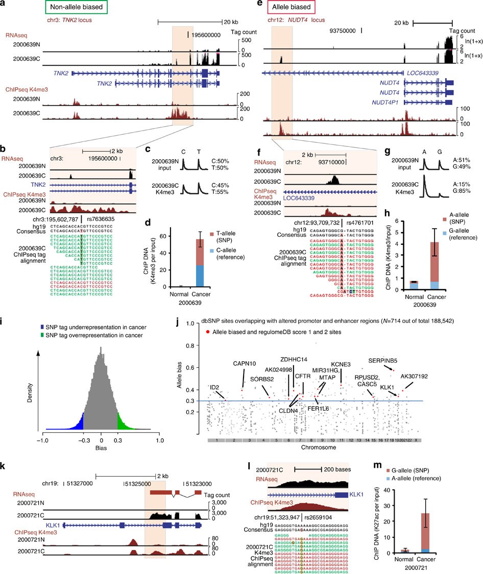 Figure 4: Allele-specific regulatory elements associated with GC.