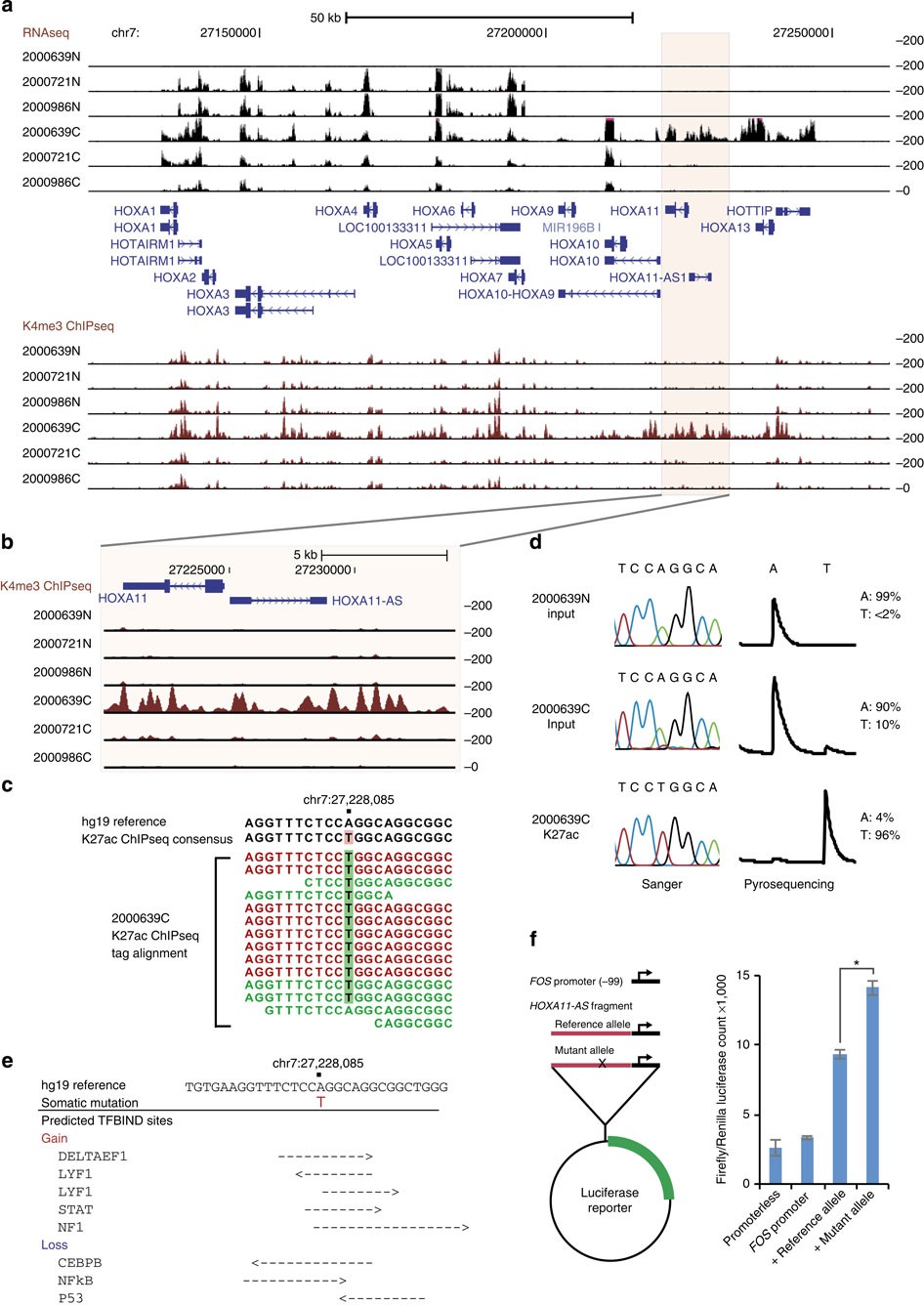 Figure 5: Somatic regulatory mutations in GC.