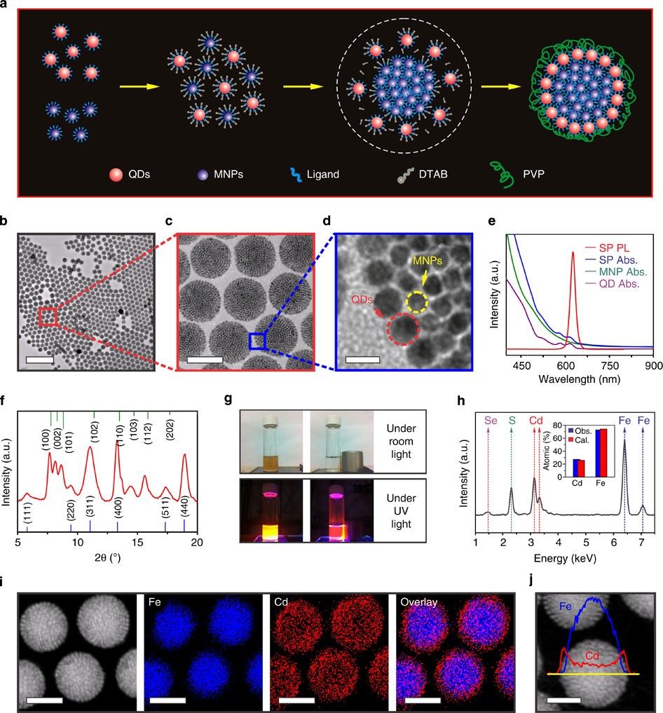 Magneto Fluorescent Core Shell Supernanoparticles Nature Communications Magneto Fluorescent Core Shell Supernanoparticles Nature Communications