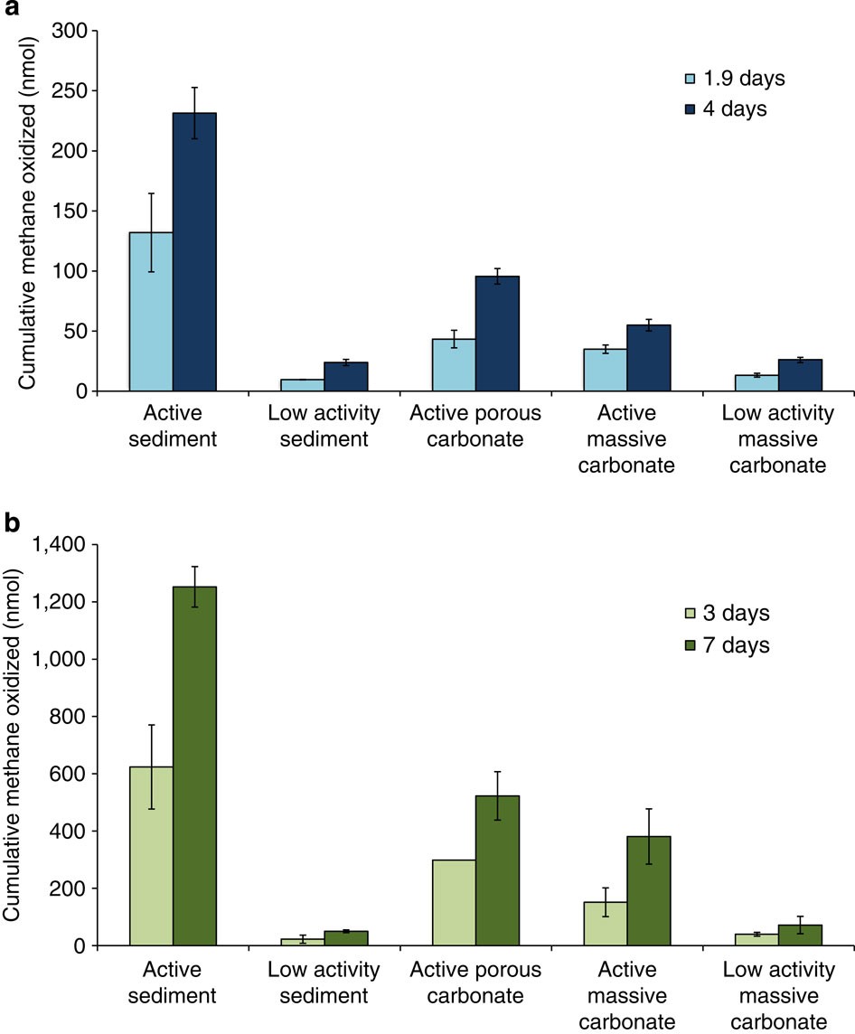 Carbonate Hosted Methanotrophy Represents An Unrecognized