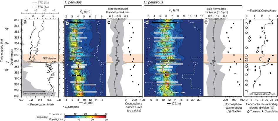 Coccolithophore Calcification Response To Past Ocean Acidification And Climate Change Nature Communications