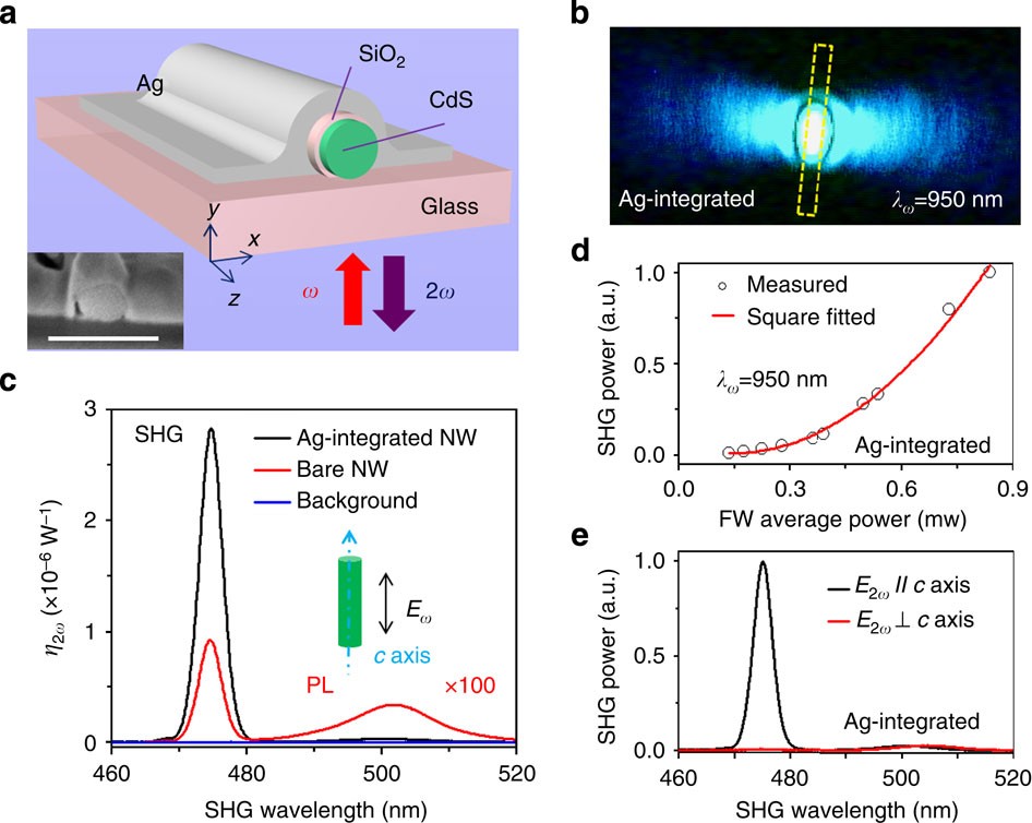 pin Kæreste Ultimate Enhanced second-harmonic generation from metal-integrated semiconductor  nanowires via highly confined whispering gallery modes | Nature  Communications