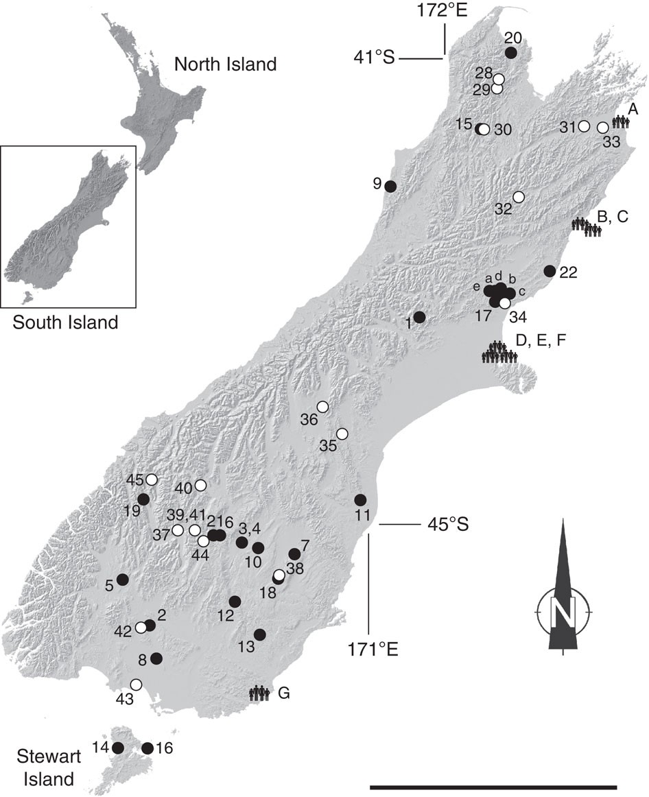 Hunting for New Zealand 1992