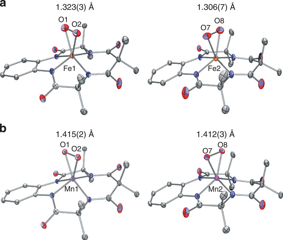 Mononuclear Manganese(III) Superoxo Complexes: Synthesis