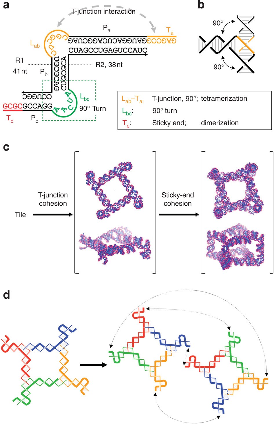 De Novo Design Of An Rna Tile That Self Embles Into A De Novo Design Of An Rna Tile That Self
