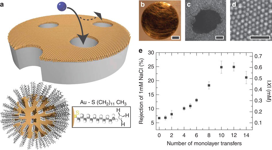 Ion Transport Controlled By Nanoparticle Functionalized Membranes Nature Communications