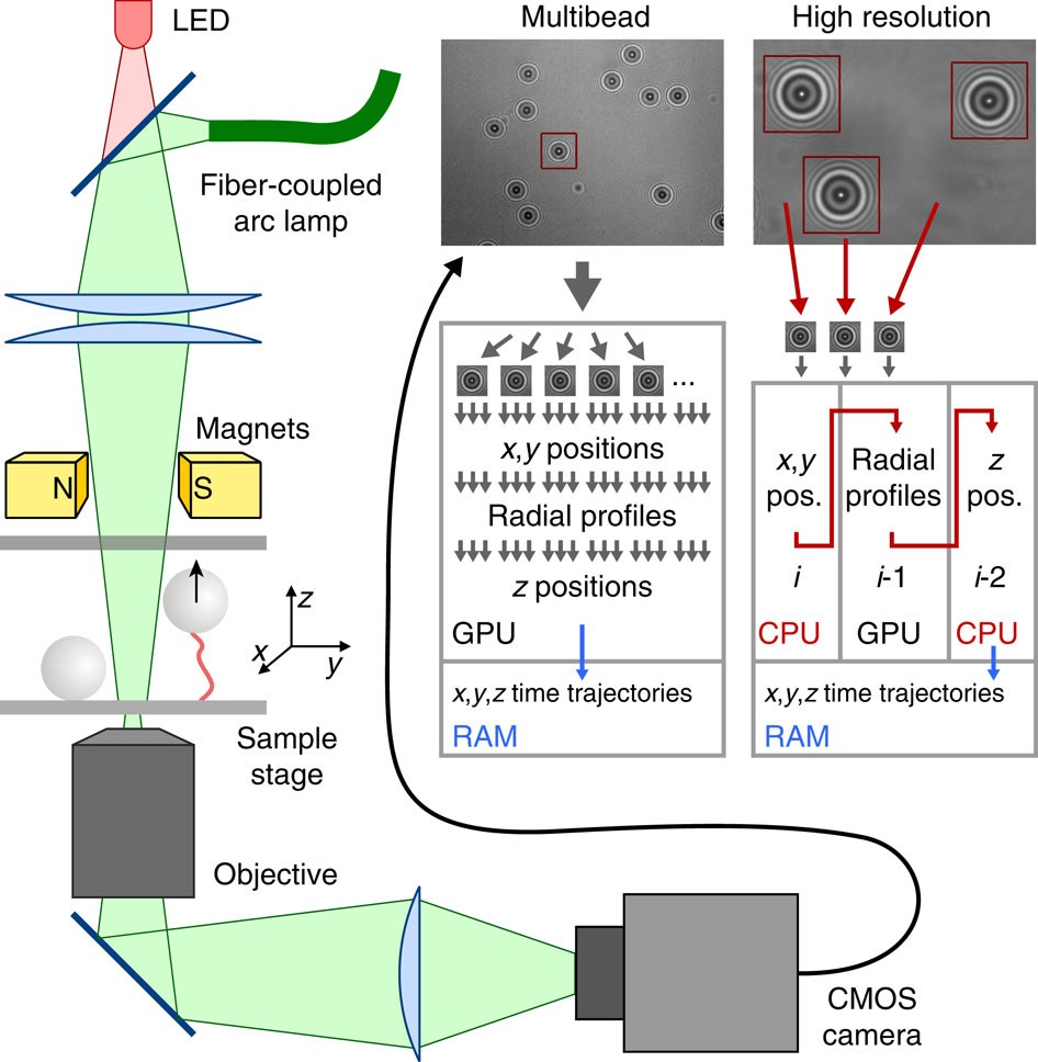 Camera-based three-dimensional real-time particle tracking at kHz rates and  Ångström accuracy | Nature Communications