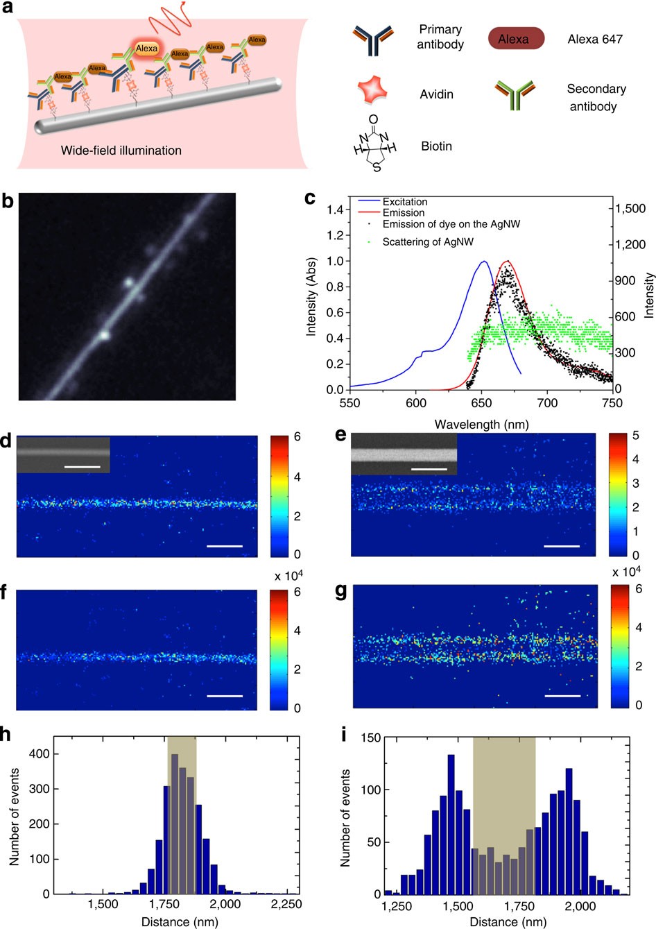 Visualization of molecular fluorescence point spread functions via remote  excitation switching fluorescence microscopy | Nature Communications