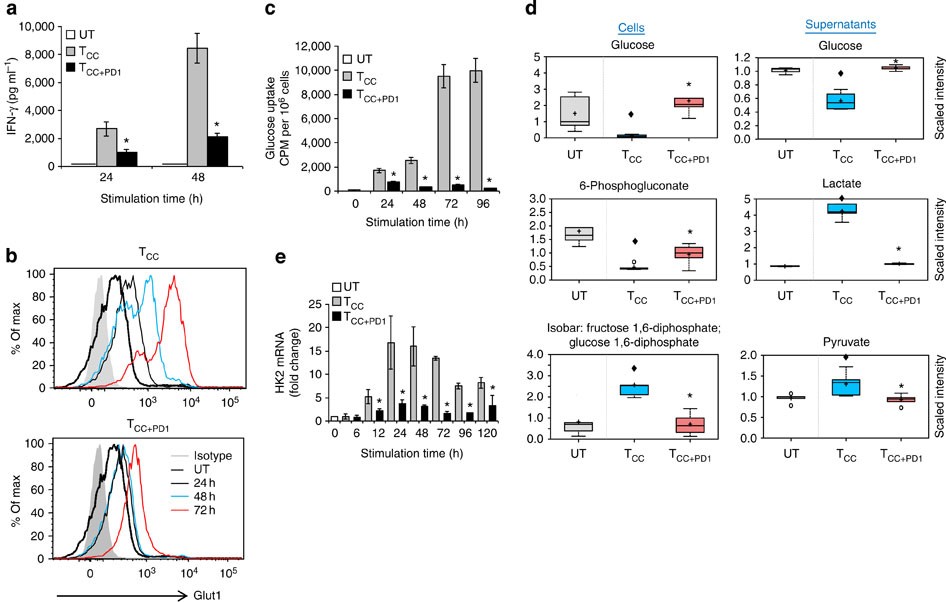 Figure 1: PD-1 inhibits transport and utilization of glucose during T-cell activation.