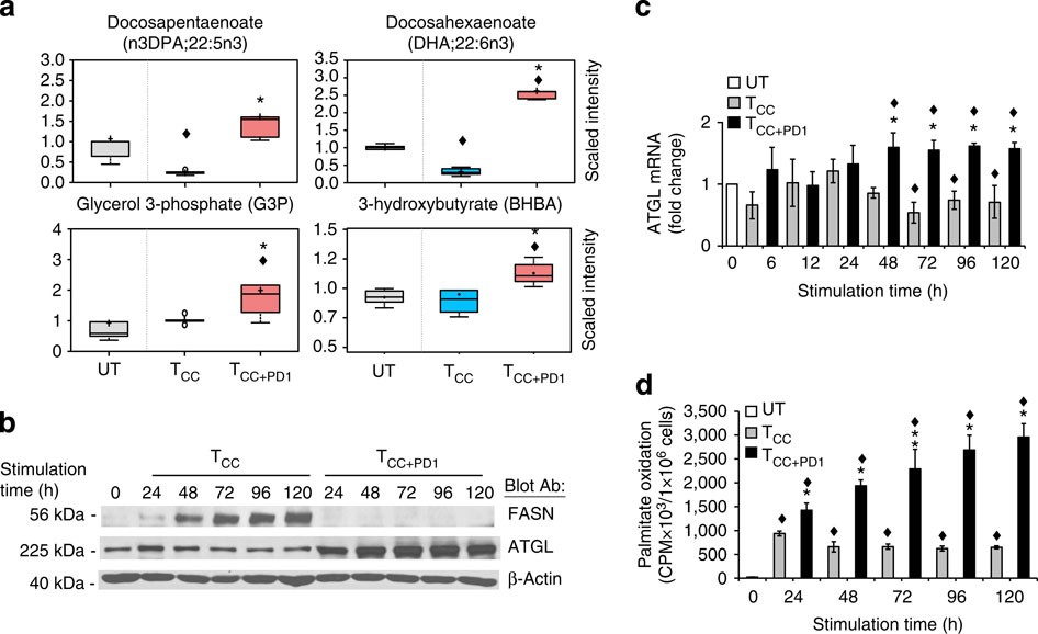 Figure 4: PD-1 induces lipolysis and utilization of endogenous fatty acids for β-oxidation.