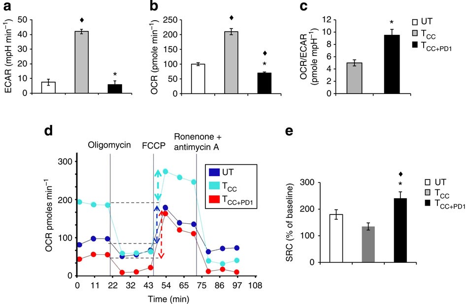 Figure 5: T cells receiving PD-1 signals have substantial mitochondrial spare respiratory capacity.