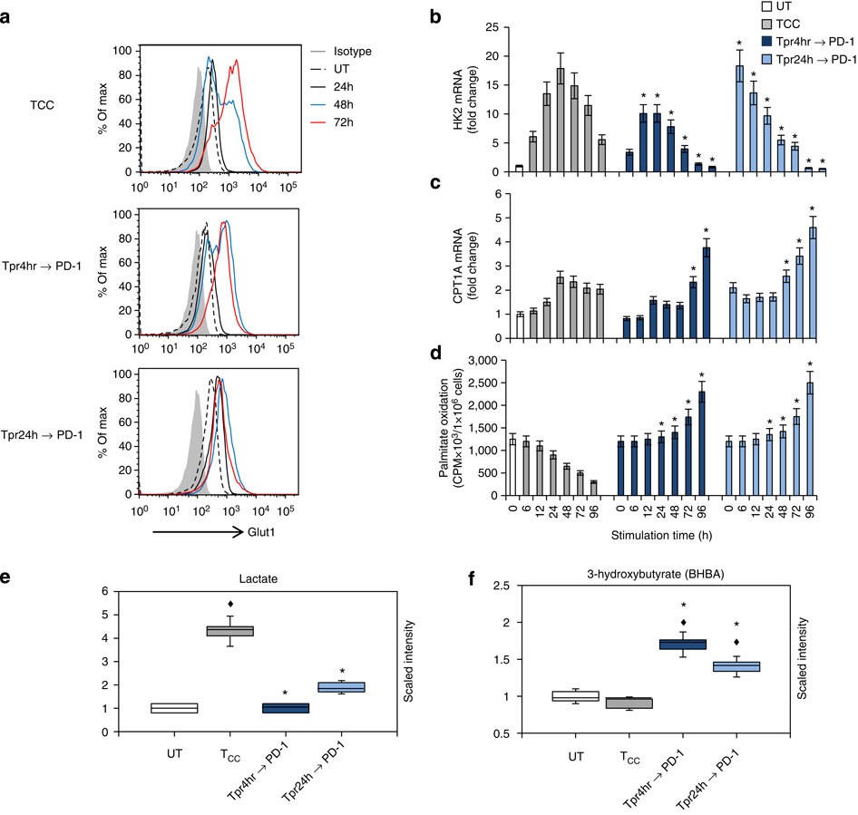 Figure 8: PD-1 alters the metabolic programme of activated T cells from glycolysis to FAO.