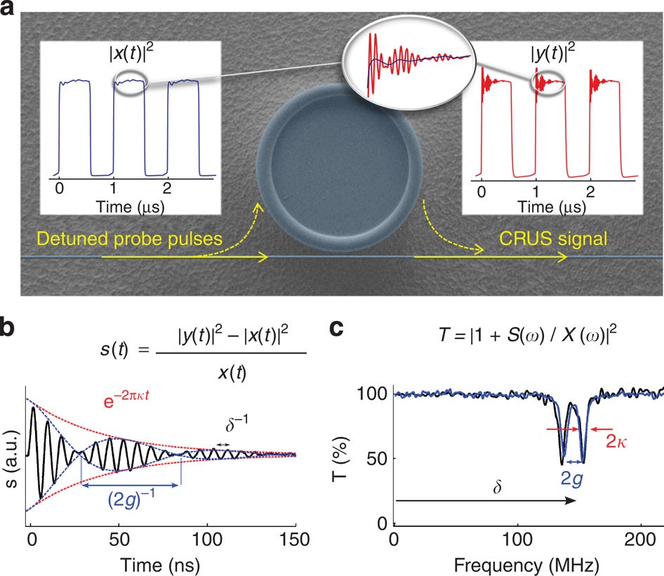 Cavity ring-up spectroscopy for ultrafast sensing with optical  microresonators | Nature Communications
