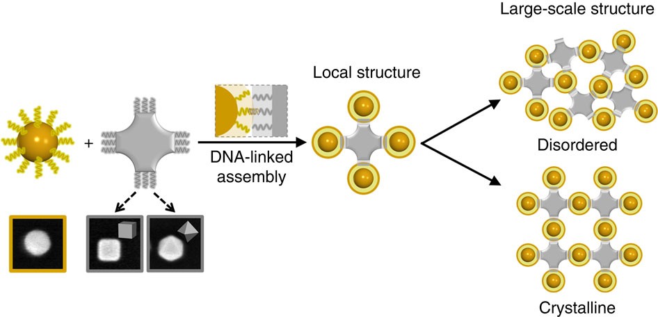 Superlattices assembled through shape-induced directional binding | Nature Communications