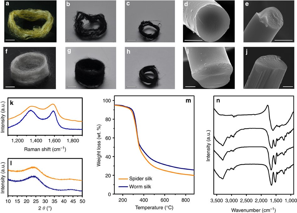 Carbonization of a stable β-sheet-rich silk protein into a pseudographitic  pyroprotein | Nature Communications