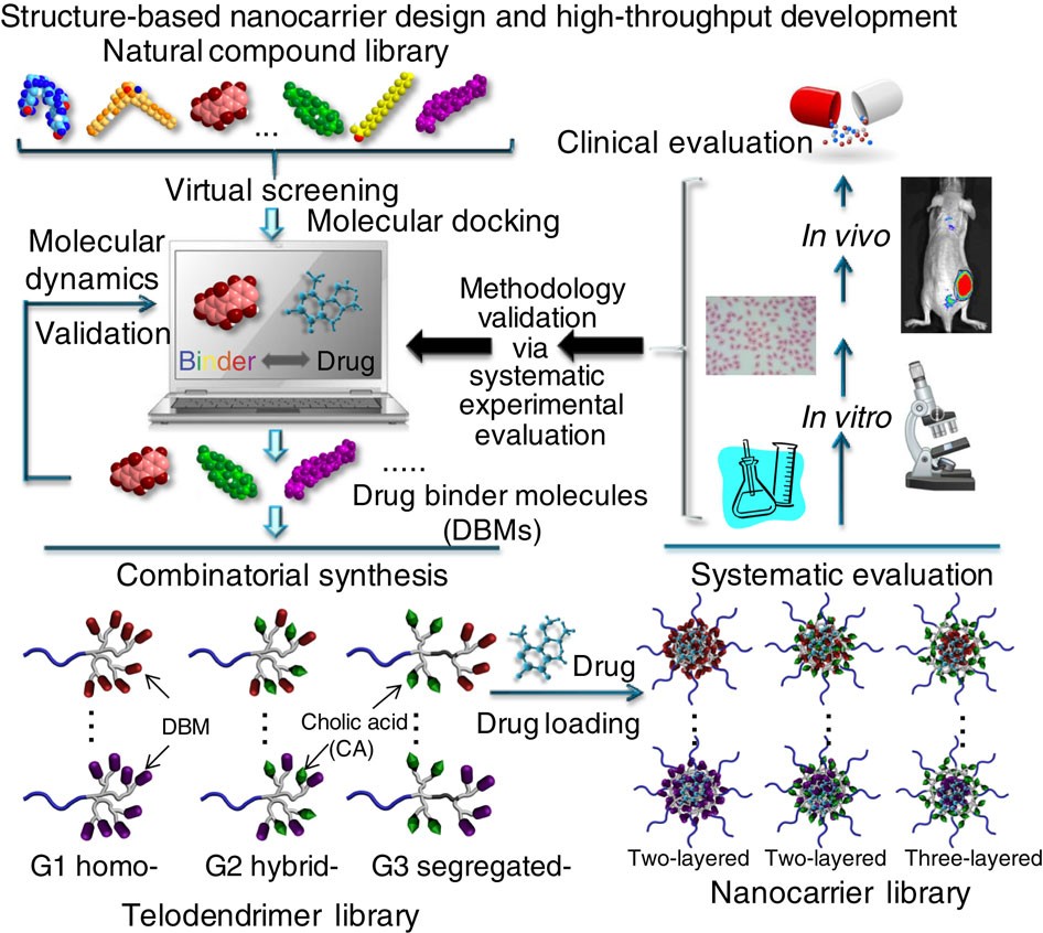 A drug-specific nanocarrier design for efficient anticancer therapy |  Nature Communications