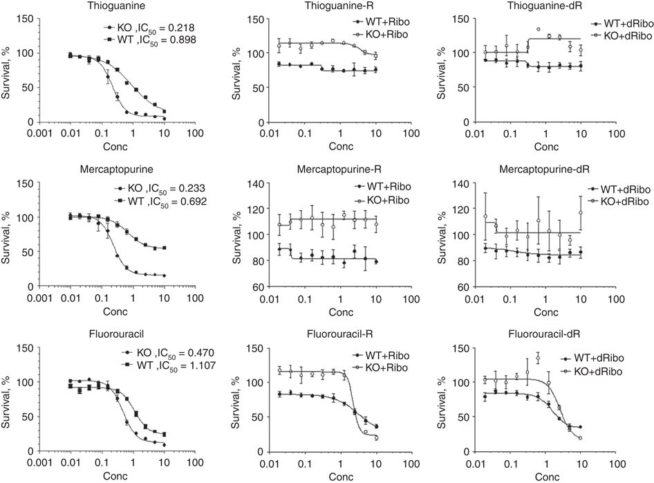 Structure−Activity Relationship of Purine Ribonucleosides for