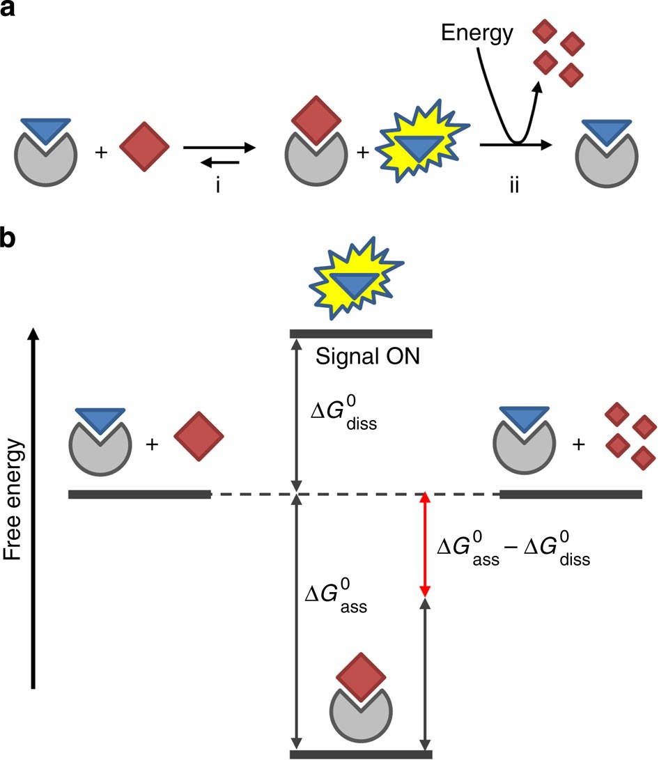 Transient signal generation in a self-assembled nanosystem fueled by ATP |  Nature Communications