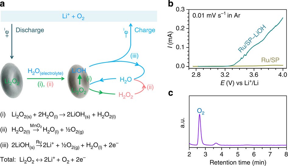 Figure 5: Proposed reaction mechanism, LSV and gas analysis.