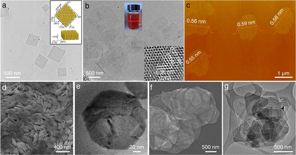 Wet-chemical synthesis and applications of non-layer structured  two-dimensional nanomaterials | Nature Communications
