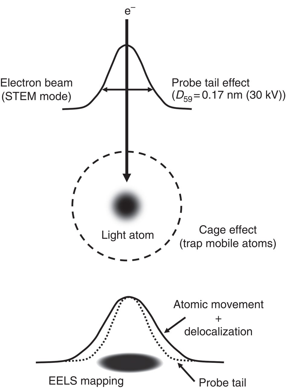 Single-atom electron energy loss spectroscopy of light elements 