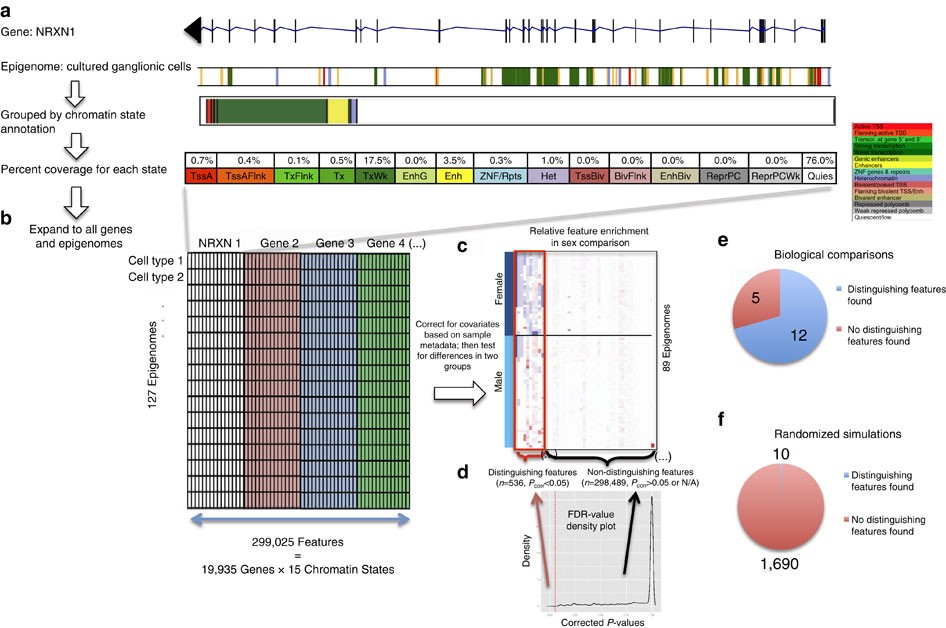Systematic chromatin state comparison of epigenomes associated  