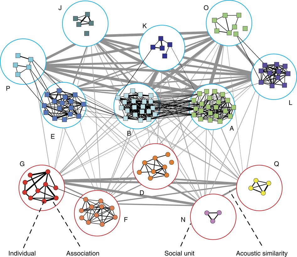 Multilevel Animal Societies Can Emerge From Cultural - 