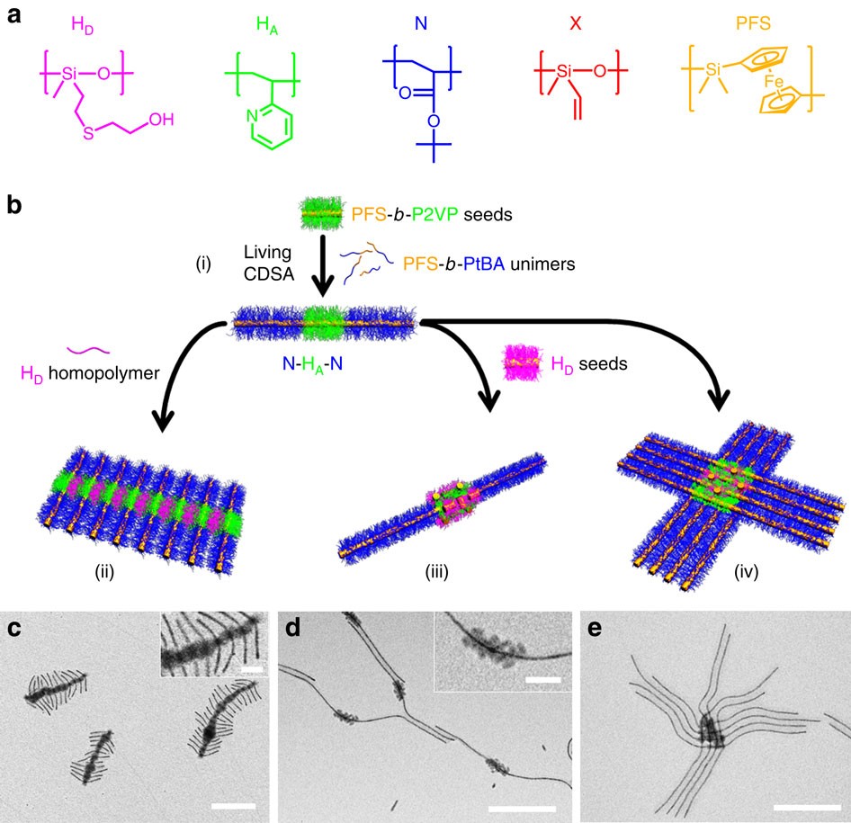 Uniform, High Aspect Ratio Fiber-like Micelles and Block Co-micelles with a  Crystalline π-Conjugated Polythiophene Core by Self-Seeding