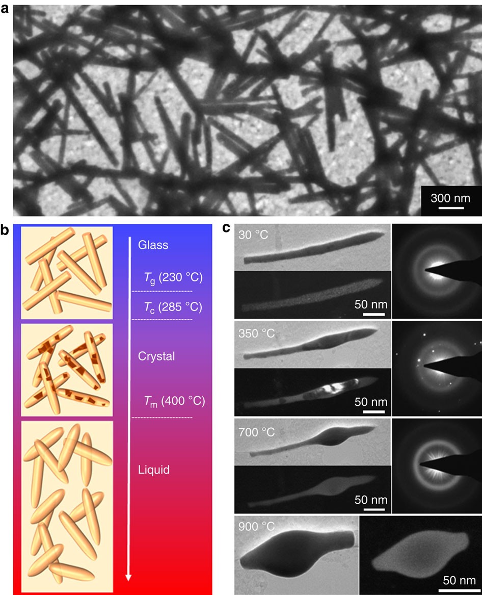 https://media.springernature.com/full/springer-static/image/art%3A10.1038%2Fncomms9157/MediaObjects/41467_2015_Article_BFncomms9157_Fig1_HTML.jpg