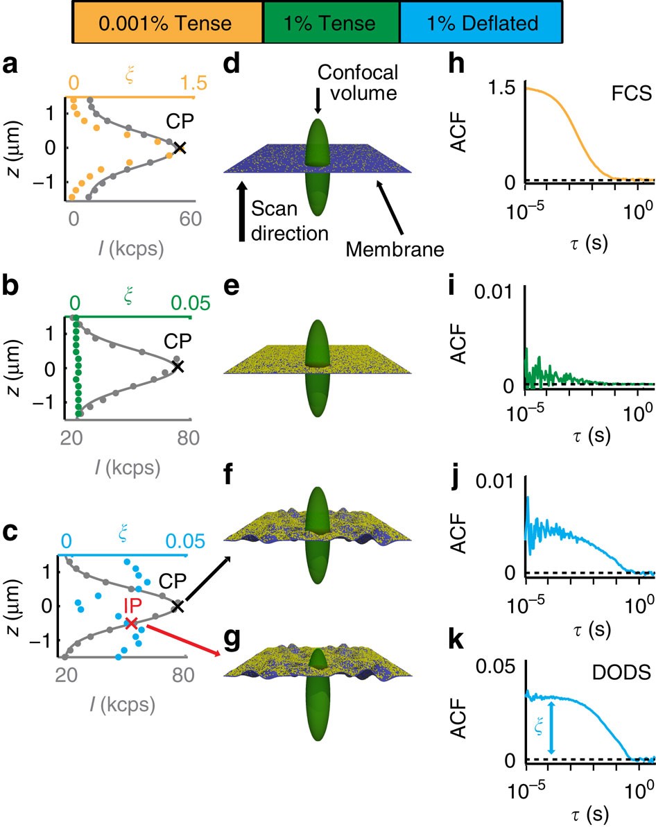 Measuring Fast Stochastic Displacements Of Bio Membranes With Dynamic Optical Displacement Spectroscopy Nature Communications Measuring Fast Stochastic Displacements Of Bio Membranes With Dynamic Optical Displacement Spectroscopy Nature Communications