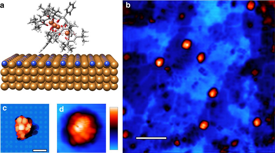 Magnetic fingerprint of individual Fe4 molecular magnets under compression  by a scanning tunnelling microscope | Nature Communications