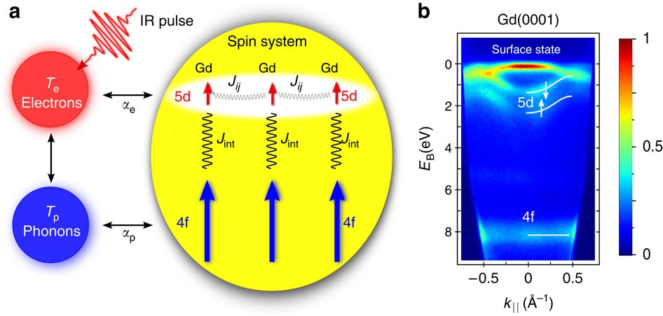 Disparate ultrafast dynamics of and localized magnetic moments in gadolinium metal Nature