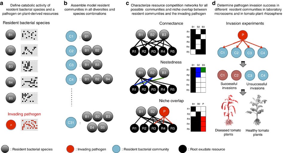 Trophic Network Architecture Of Root Associated Bacterial - 