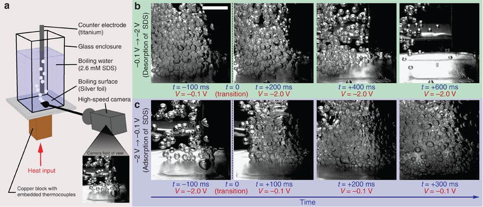 Turning Bubbles On And Off During Boiling Using Charged Surfactants Nature Communications