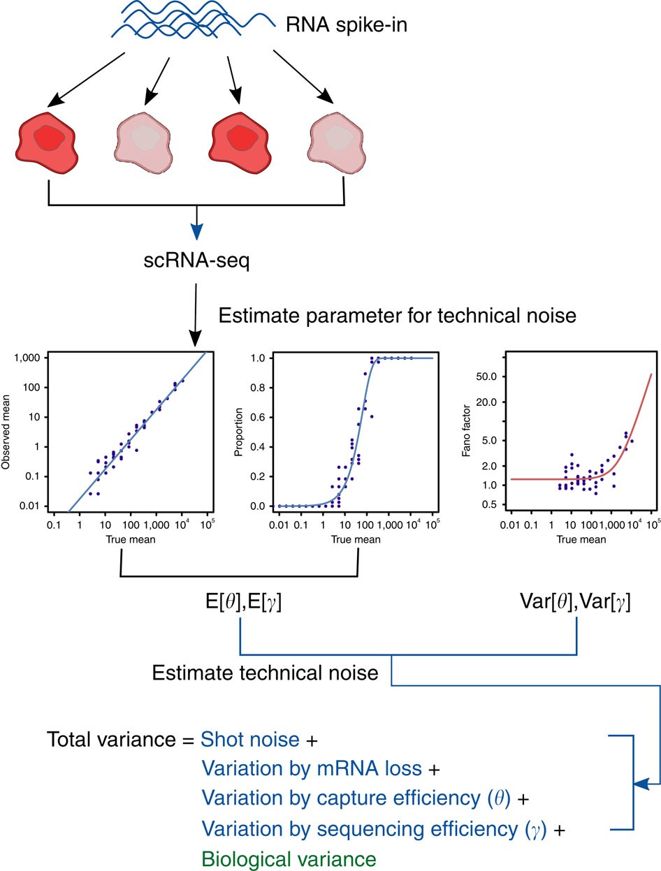 Characterizing Noise Structure In Single Cell Rna Seq Distinguishes Genuine From Technical Stochastic Allelic Expression Nature Communications Characterizing Noise Structure In Single Cell Rna Seq Distinguishes Genuine From Technical Stochastic Allelic Expression Nature Communications