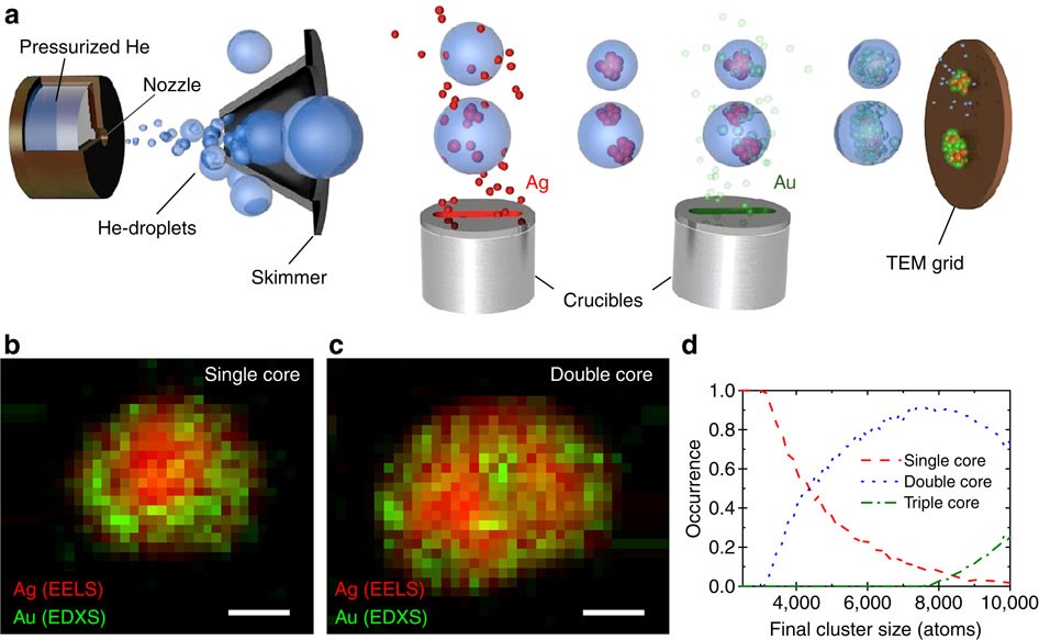 Formation of bimetallic clusters in superfluid helium nanodroplets analysed  by atomic resolution electron tomography | Nature Communications