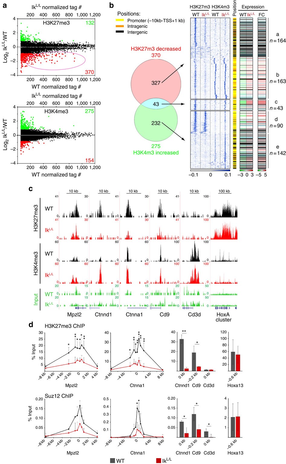 819 432 3737 >> Ikaros Mediates Gene Silencing In T Cells Through Polycomb 819 432 3737 >> Ikaros Mediates Gene Silencing In T Cells Through Polycomb