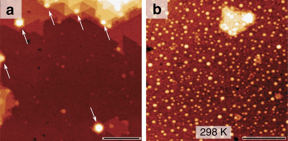 Enhanced Wetting Of Cu On Zno By Migration Of Subsurface Oxygen Vacancies Nature Communications