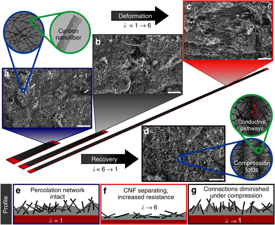 Extremely Stretchable And Conductive Water Repellent Coatings For Low Cost Ultra Flexible Electronics Nature Communications