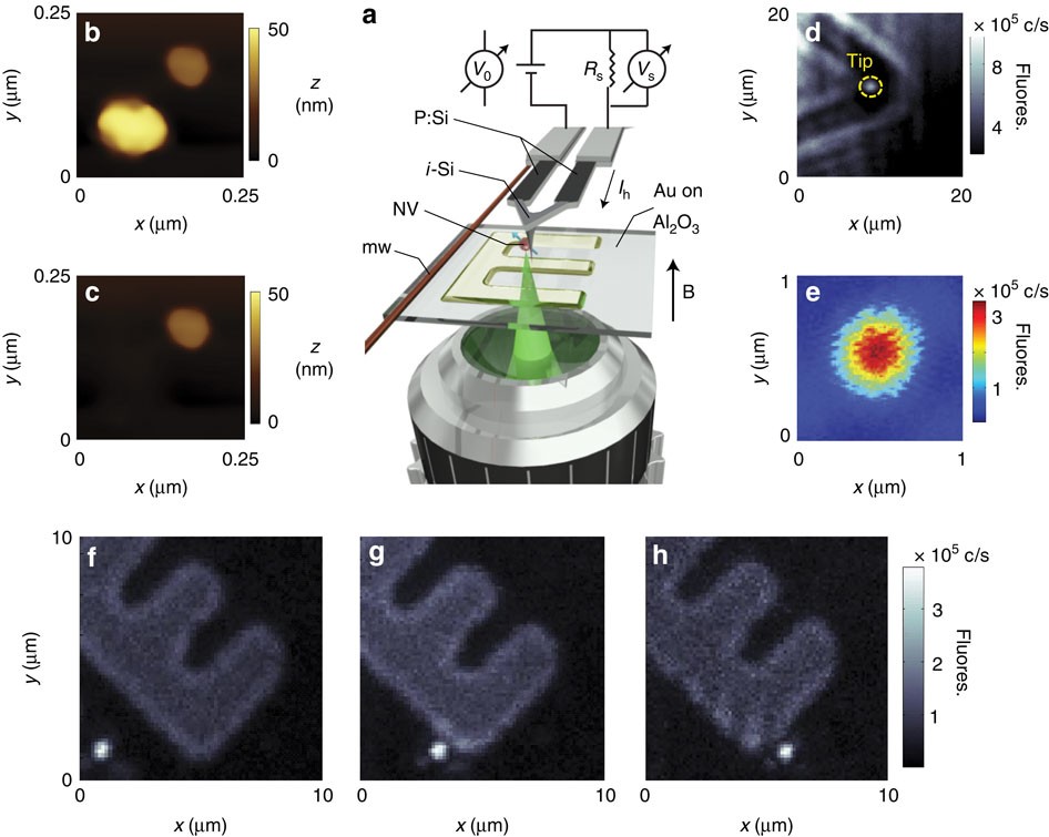 Imaging thermal conductivity with nanoscale resolution using a scanning  spin probe | Nature Communications