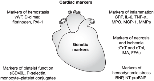 Cardiac biomarkers: a contemporary status report | Nature Reviews Cardiology