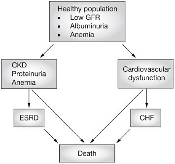 low hematocrit and hemoglobin chf kidney failure low hematocrit and hemoglobin chf kidney failure