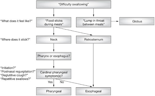 PDF) Oropharyngeal dysphagia in patients with multiple sclerosis: Do the  disease classification scales reflect dysphagia severity?